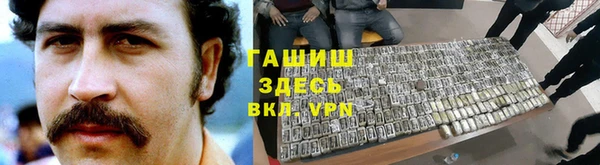 прущие грибы Алзамай