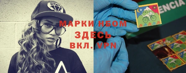 прущие грибы Алзамай