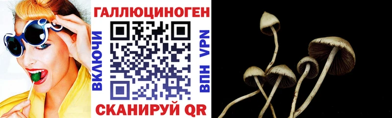 Галлюциногенные грибы Psilocybine cubensis  Протвино 