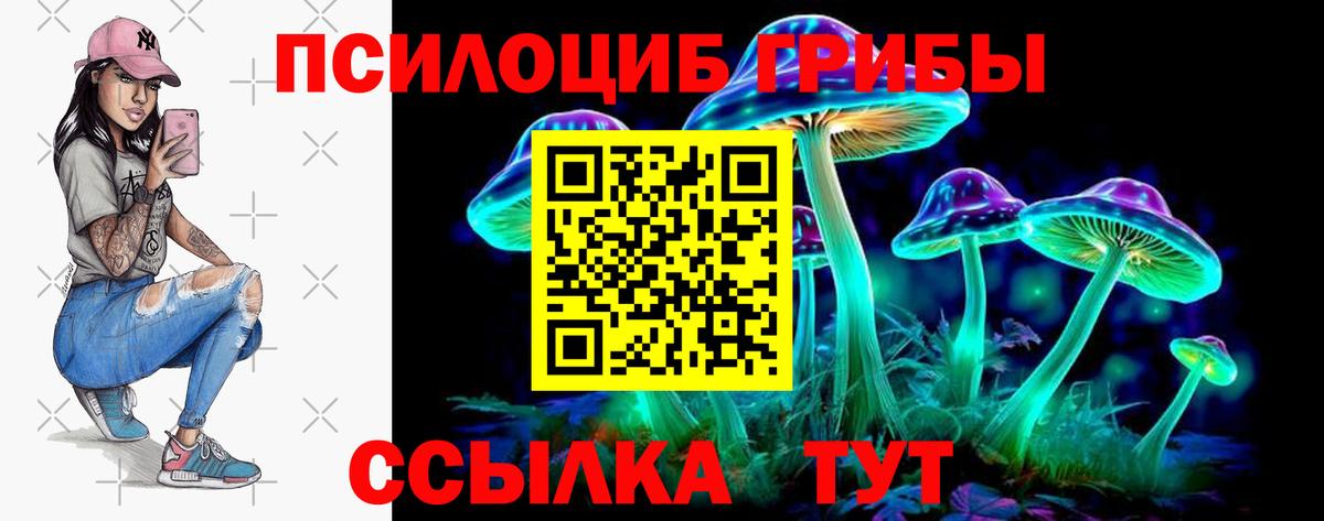 Галлюциногенные грибы Psilocybine cubensis  Вход с VPN  Галлюциногенные грибы Magic Shrooms  Протвино 